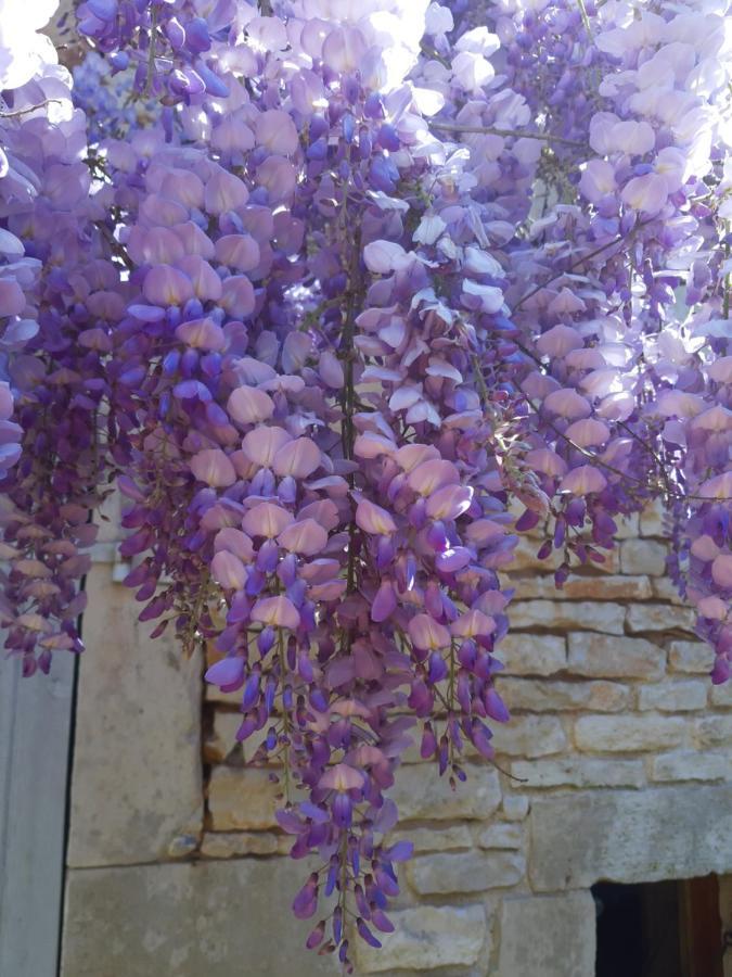 Wisteria Cottage Les Adjots Exterior photo